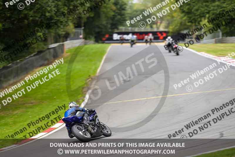 brands hatch photographs;brands no limits trackday;cadwell trackday photographs;enduro digital images;event digital images;eventdigitalimages;no limits trackdays;peter wileman photography;racing digital images;trackday digital images;trackday photos